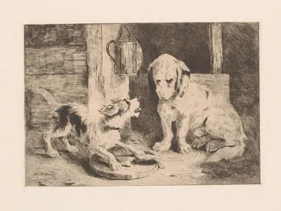 Two dogs near a lantern and plate of food by Zacharie Noterman — digital art print download