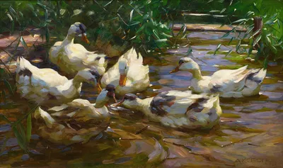 Sechs Enten in blauem Schilfwasser by Александр Кёстер — digital art print download
