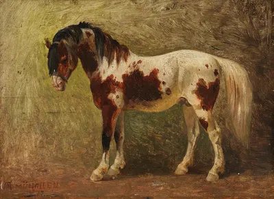 Zugeschrieben – Pferdeporträt by Benno Adam, 1872 — digital art print download