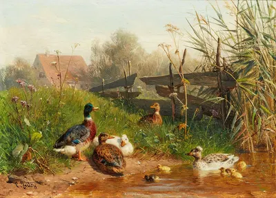 Enten am Teich by Carl Jutz The Elder — digital art print download