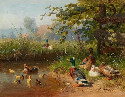 Enten am Ufer eines Teichs by Carl Jutz The Elder, 1887 — digital art print download