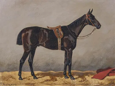 Rappe in einem Stall by Эмиль Волькерс — digital art print download