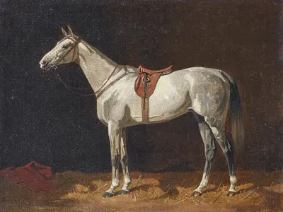 Schimmel in einem Stall by Эмиль Волькерс, 1897 — digital art print download