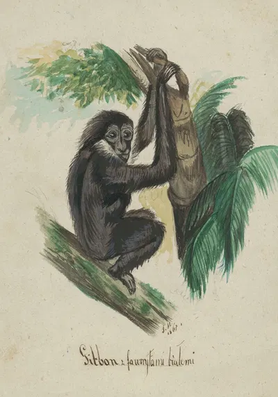 Gibon by Яцек Мальчевский, 1867 — digital art print download