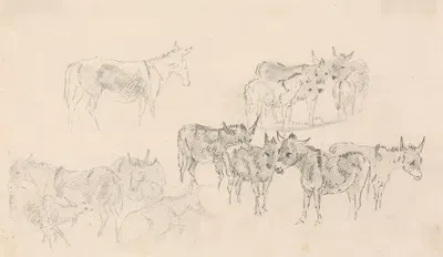 Studies of Donkeys by Сорей Гилпин — digital art print download