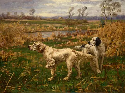 Two Setters by Percival Leonard Rosseau, 1905 — digital art print download