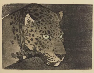 Tête de panthère by Jules Chadel, 1920 — digital art print download
