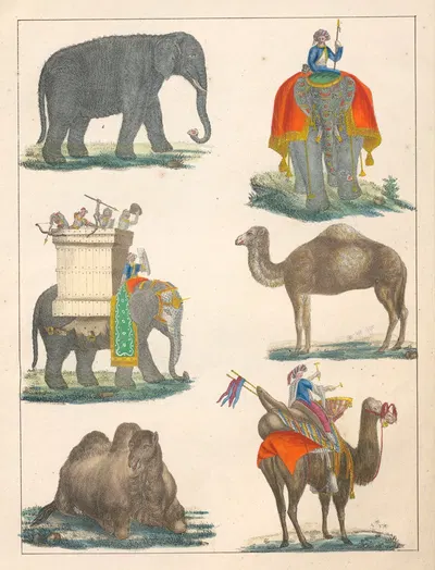 Natural History (Galerya obrazowa zwiérząt czyli Historya naturalna) Pl.01 by Anton Benedikt Reichenbach, 1839 — digital…