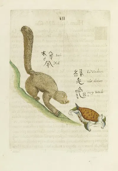 Sum Xu; Lo Meo Quey by Michał Boym, 1656 — digital art print download