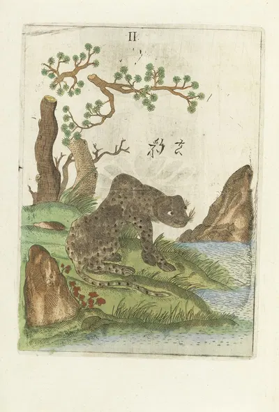 Flora Sinensis by Michał Boym, 1656 — digital art print download