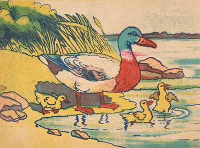 Zwierzęta domowe Pl.4 by Poligraf, 1930 — digital art print download