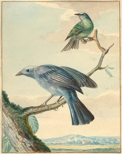 Oiseaux branchés by Аерт Шоуман — digital art print download