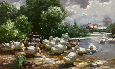 Enten am Dorfweiher by Александр Кёстер — digital art print download