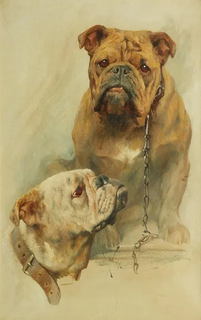 A pair of Bulldogs, one with a chain by Артур Уордл — digital art print download