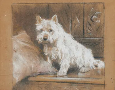 A West Highland Terrier seated on a carved bench by Артур Уордл — digital art print download