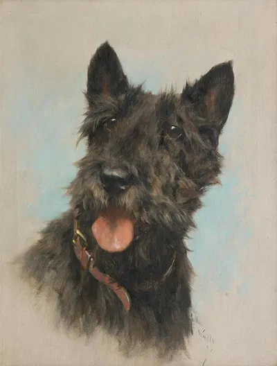 Portrait of a Scottish Terrier by Артур Уордл — digital art print download