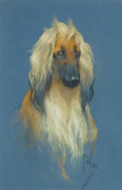 The portrait of an Afghan Hound by Артур Уордл — digital art print download