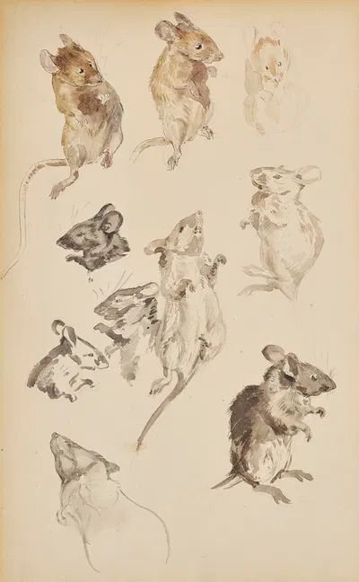 Studies of mice by Beatrix Potter — digital art print download