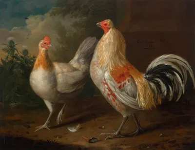 A sporting cockerel and hen by Charles Collins, 1732 — digital art print download