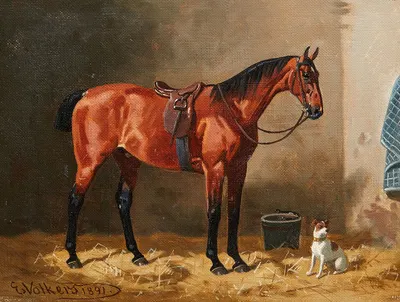 Gesattelter Brauner im Stall mit einem Hund by Emil Volkers, 1891 — digital art print download