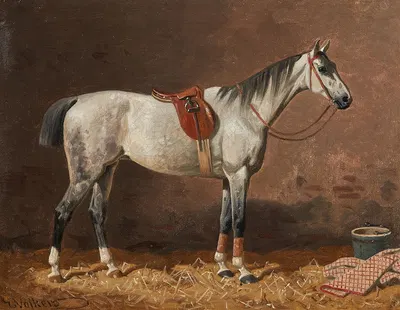 Gesattelter Schimmel im Stall by Эмиль Волькерс — digital art print download