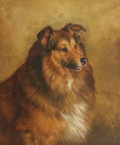 Champion 'Eclipse' – a sable and white Rough Collie by Фрэнк Патон, 1887 — digital art print download
