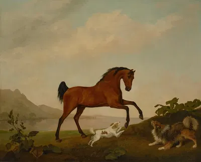 A prancing horse with two dogs, in a landscape by George Stubbs, 1791 — digital art print download
