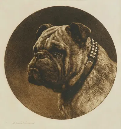 A British Bulldog by Herbert Thomas Dicksee — digital art print download