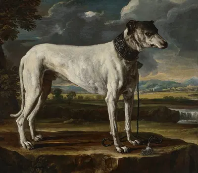 A hound in a landscape by Michele Pace del Campidoglio — digital art print download