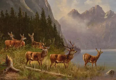 Red Deer on the Lakeside, signed (in ligature), dated MMüller Munich by Мориц Мюллер — digital art print download