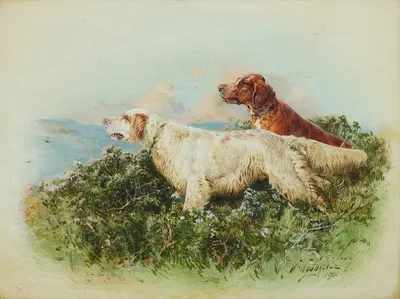 An English and an Irish Red and White Setter on the moors by William Woodhouse, 1900 — digital art print download