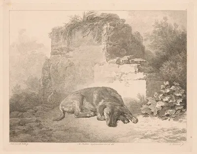 Sleeping dog in front of a wall by Adam von Bartsch, 1809 — digital art print download