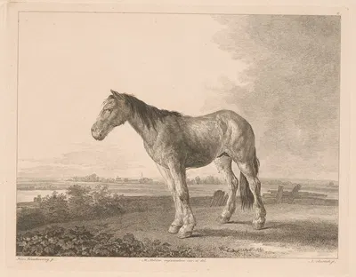 Standing horse in a river landscape by Adam von Bartsch, 1809 — digital art print download