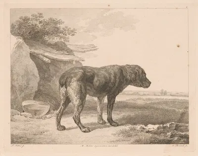 Standing dog in a landscape by Adam von Bartsch, 1809 — digital art print download