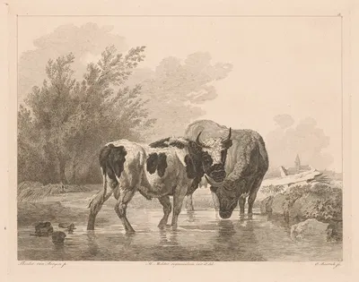 Two cows in a stream by Adam von Bartsch, 1809 — digital art print download