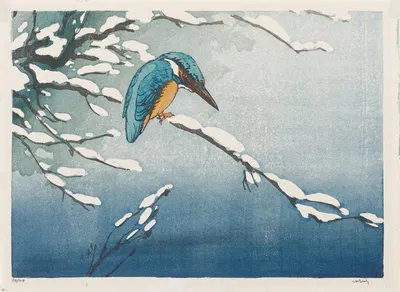 Kingfisher in Winter by Аллен У. Сиби — digital art print download