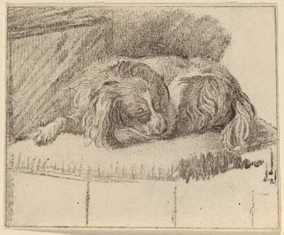 Lying Dog by Корнелис Плос ван Амстел, 1777 — digital art print download