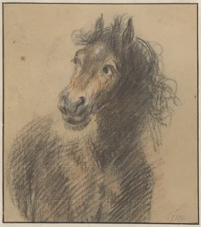 Paard, van voren gezien, naar links kijkend by Корнелис Трост, 1706-1750 — digital art print download