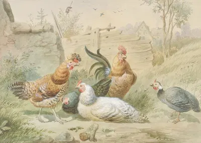Rooster and Hens by Frans van Severdonck, 1876 — digital art print download