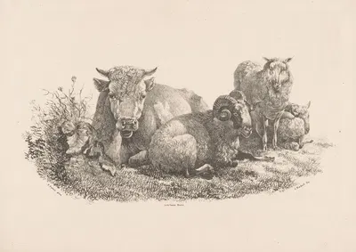 Koe, ram en twee schapen by Jan Kobell III, 1832 — digital art print download