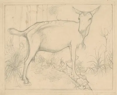 Geit, naar rechts, staand op een boomstammetje by Ян Манкес, 1900-1920 — digital art print download