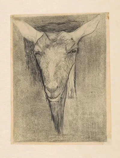 Kop van een geit by Ян Манкес, 1899-1920 — digital art print download