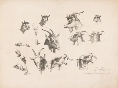 Studies of goats by Жан-Луи ДеМарн, 1816 — digital art print download