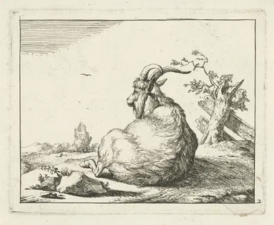 Goat sitting by a fallen tree by Marcus de Bye, 1657 - 1677 — digital art print download