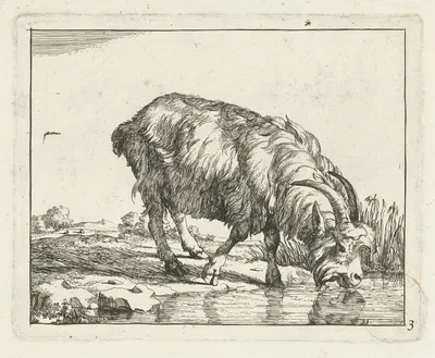 Drinking goat by Marcus de Bye, 1657 - 1677 — digital art print download