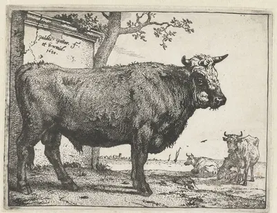 Bull by Паулус Поттер, 1650 — digital art print download