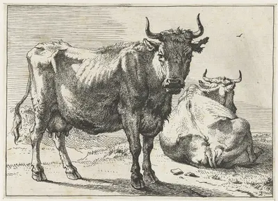 A standing cow and a lying cow by Паулус Поттер, 1650 — digital art print download
