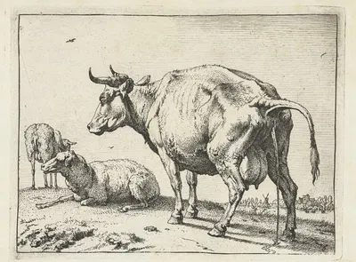 Cow peeing by Паулус Поттер, 1650 — digital art print download