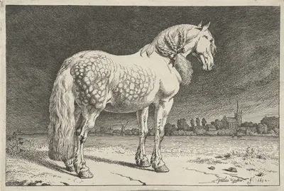 Het Friese paard Paarden by Паулус Поттер, 1652 — digital art print download