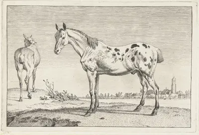 Het gecoupeerde paard Paarden by Паулус Поттер, 1652 — digital art print download